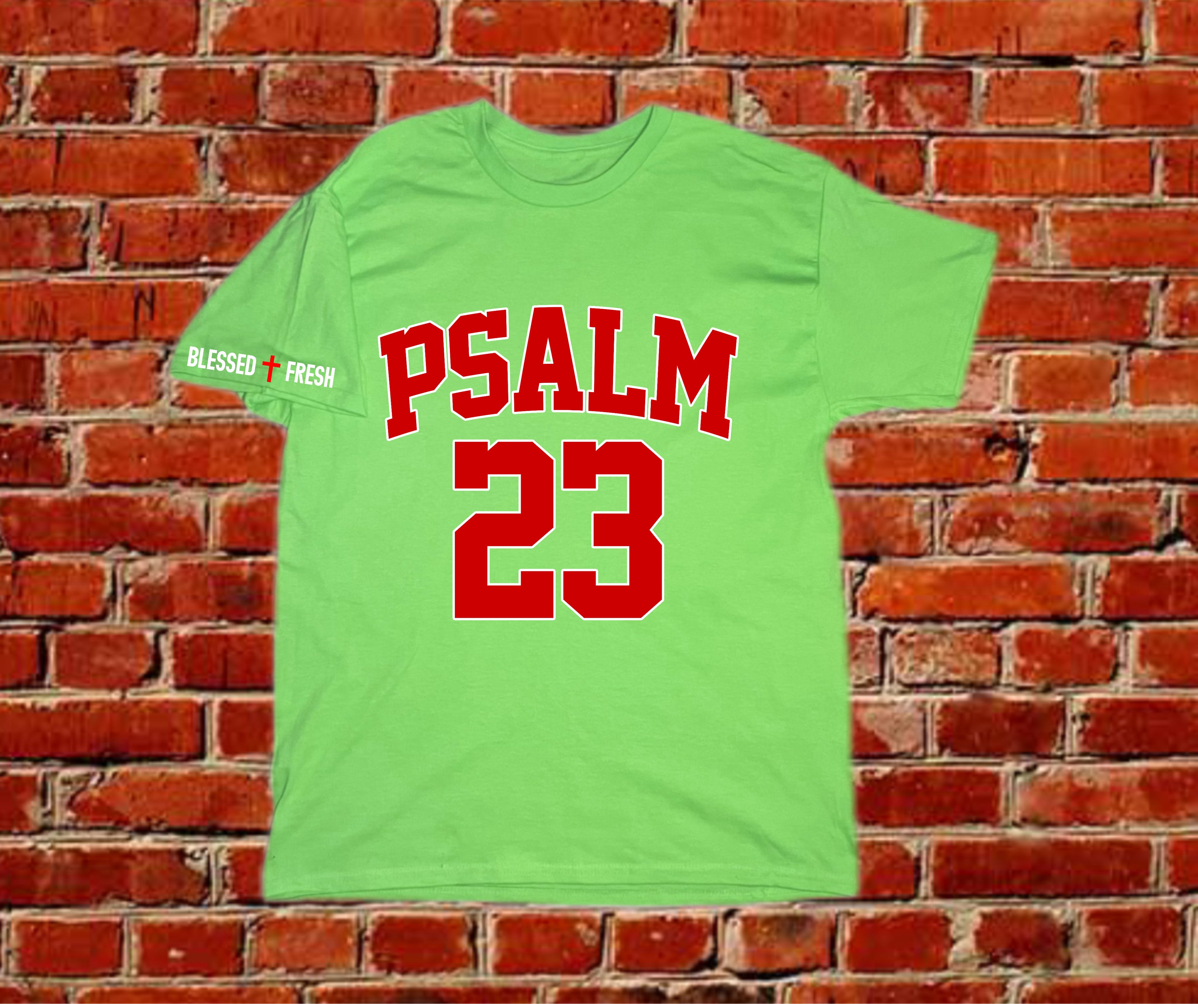 Psalm 23 Tee – Fear No Evil