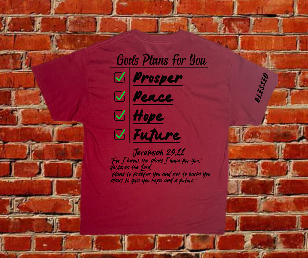 Gods plan