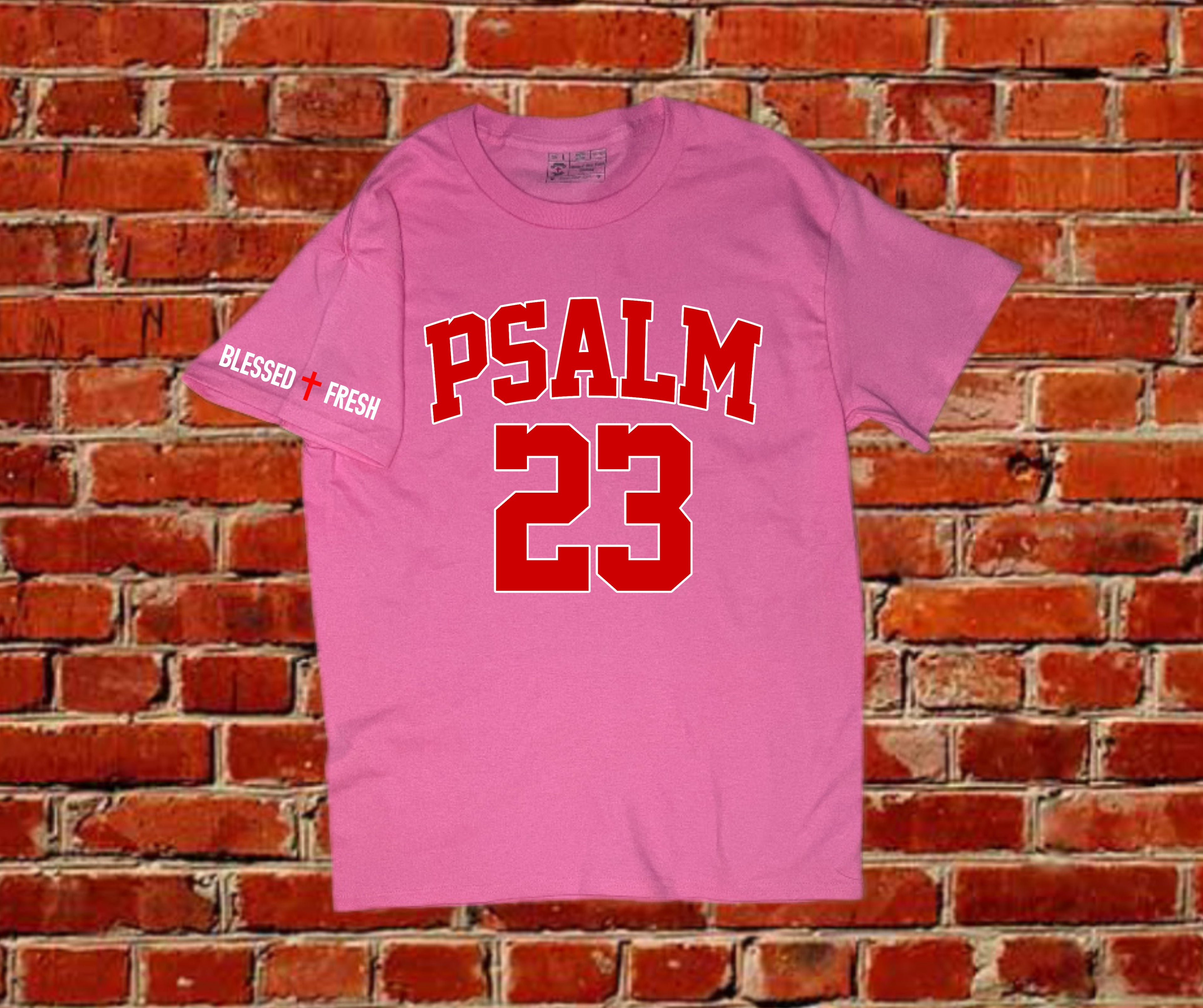 Psalm 23 Tee – Fear No Evil