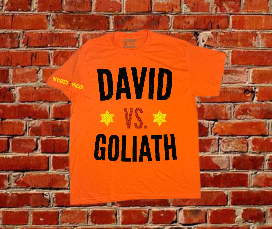 DAVID VS GOLIATH