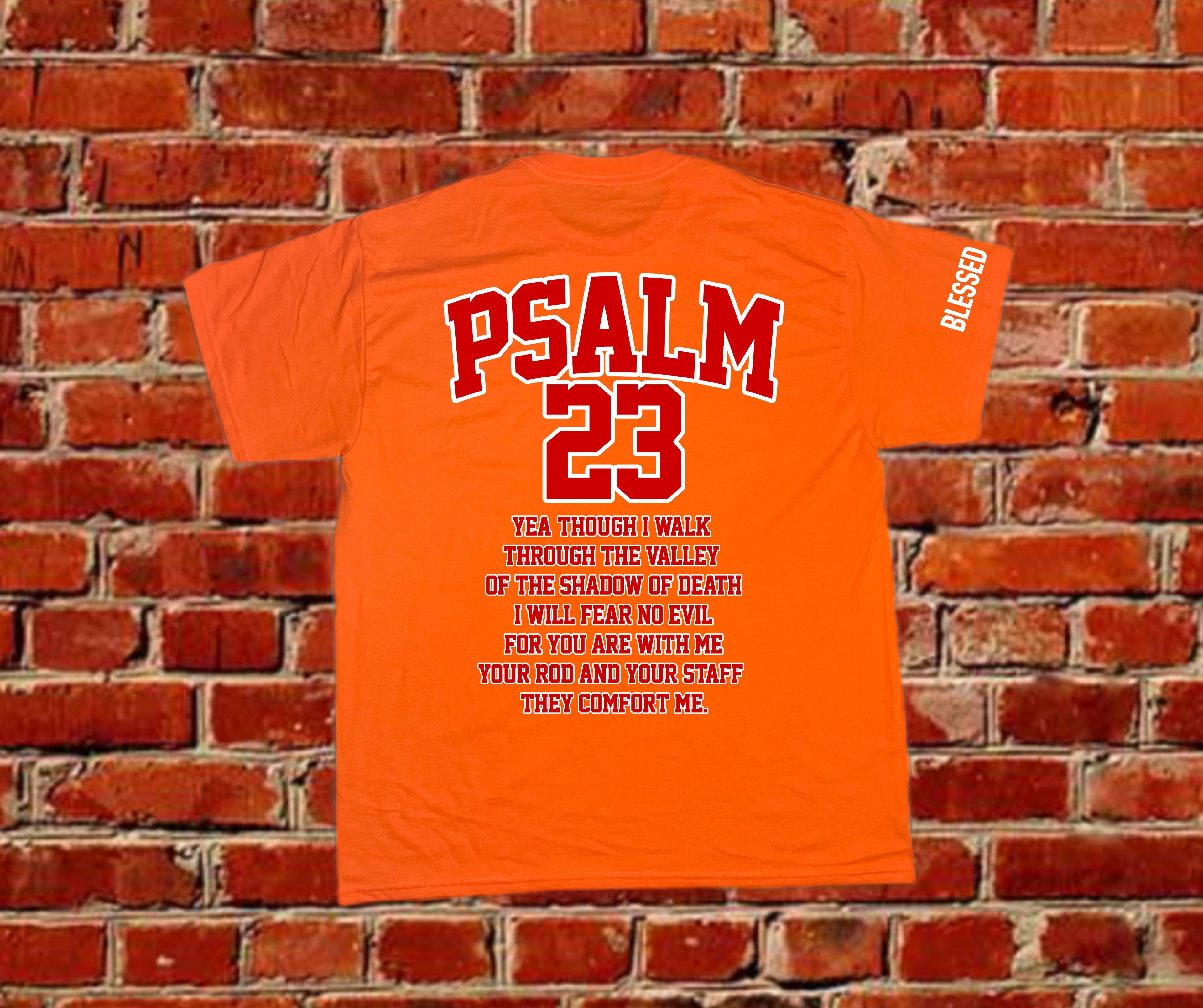 Psalm 23 Tee – Fear No Evil