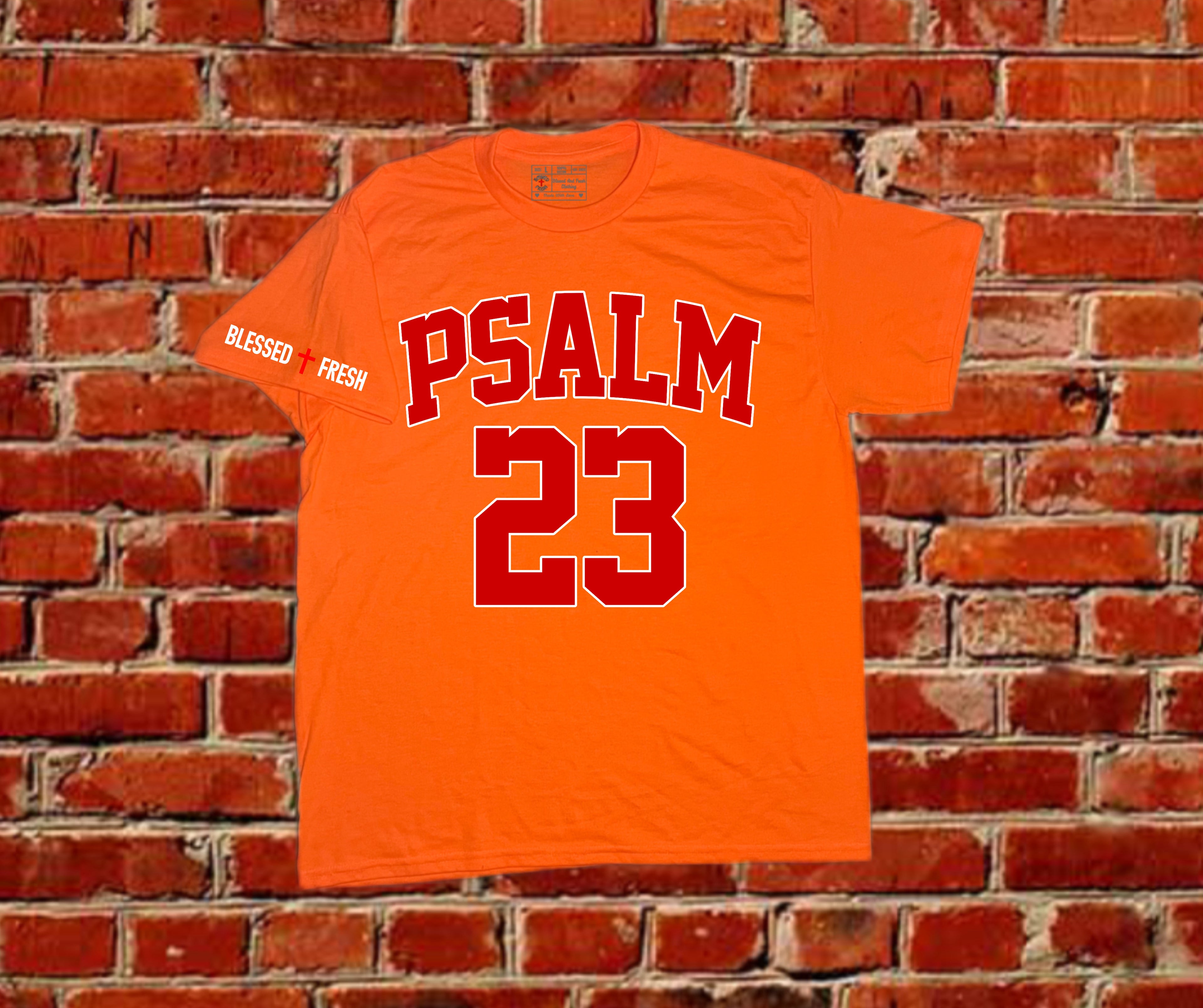 Psalm 23 Tee – Fear No Evil