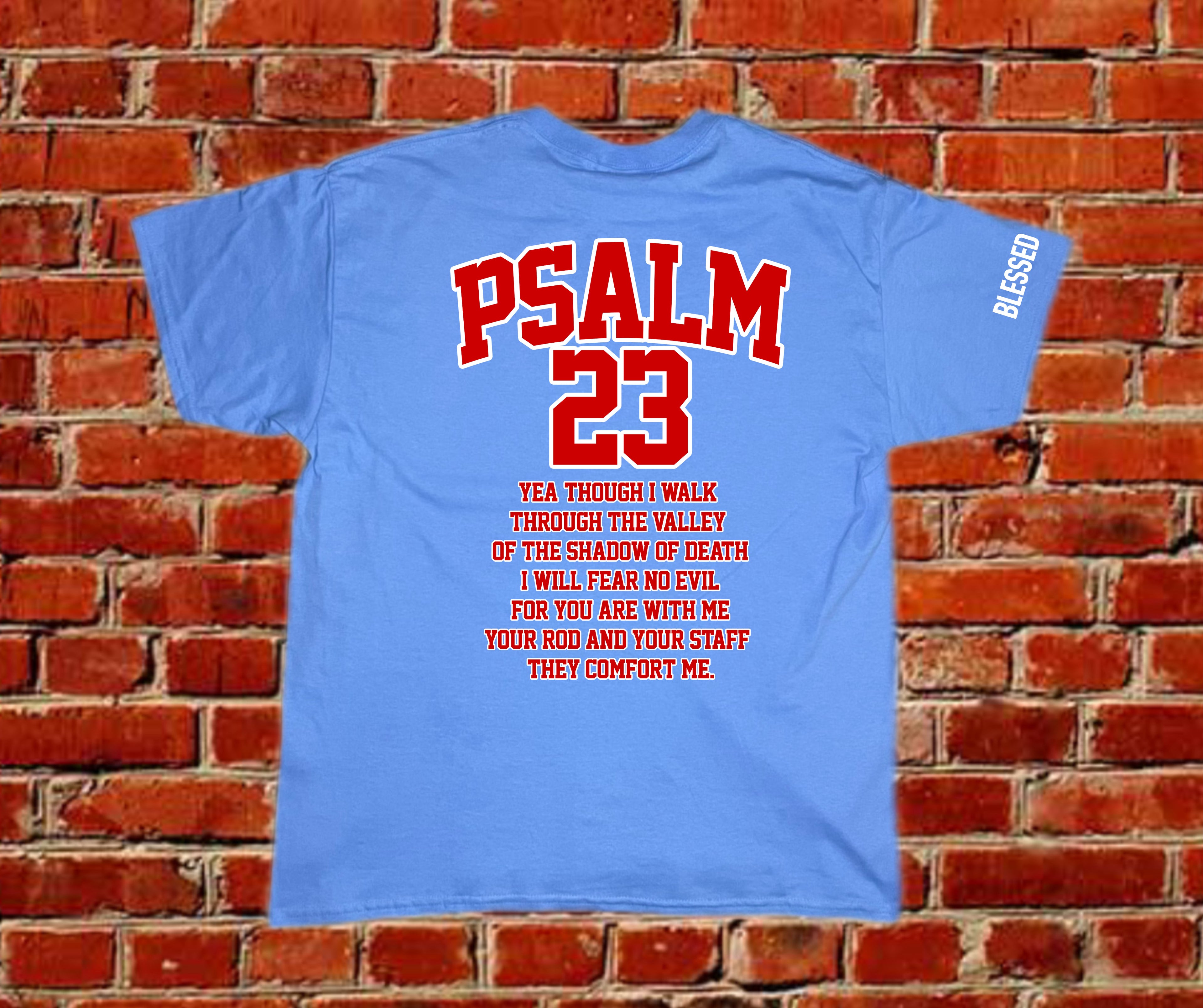 Psalm 23 Tee – Fear No Evil