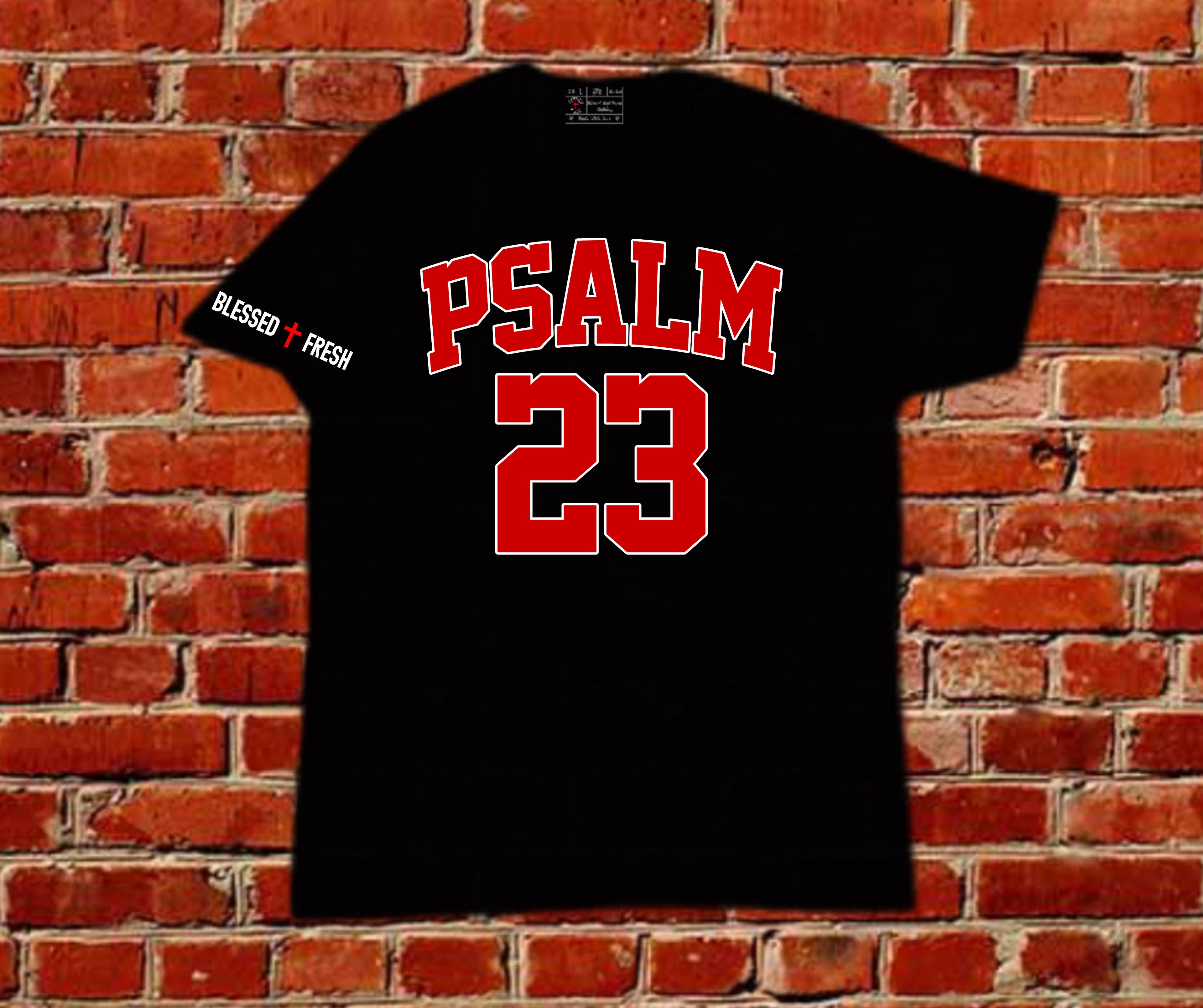 Psalm 23 Tee – Fear No Evil