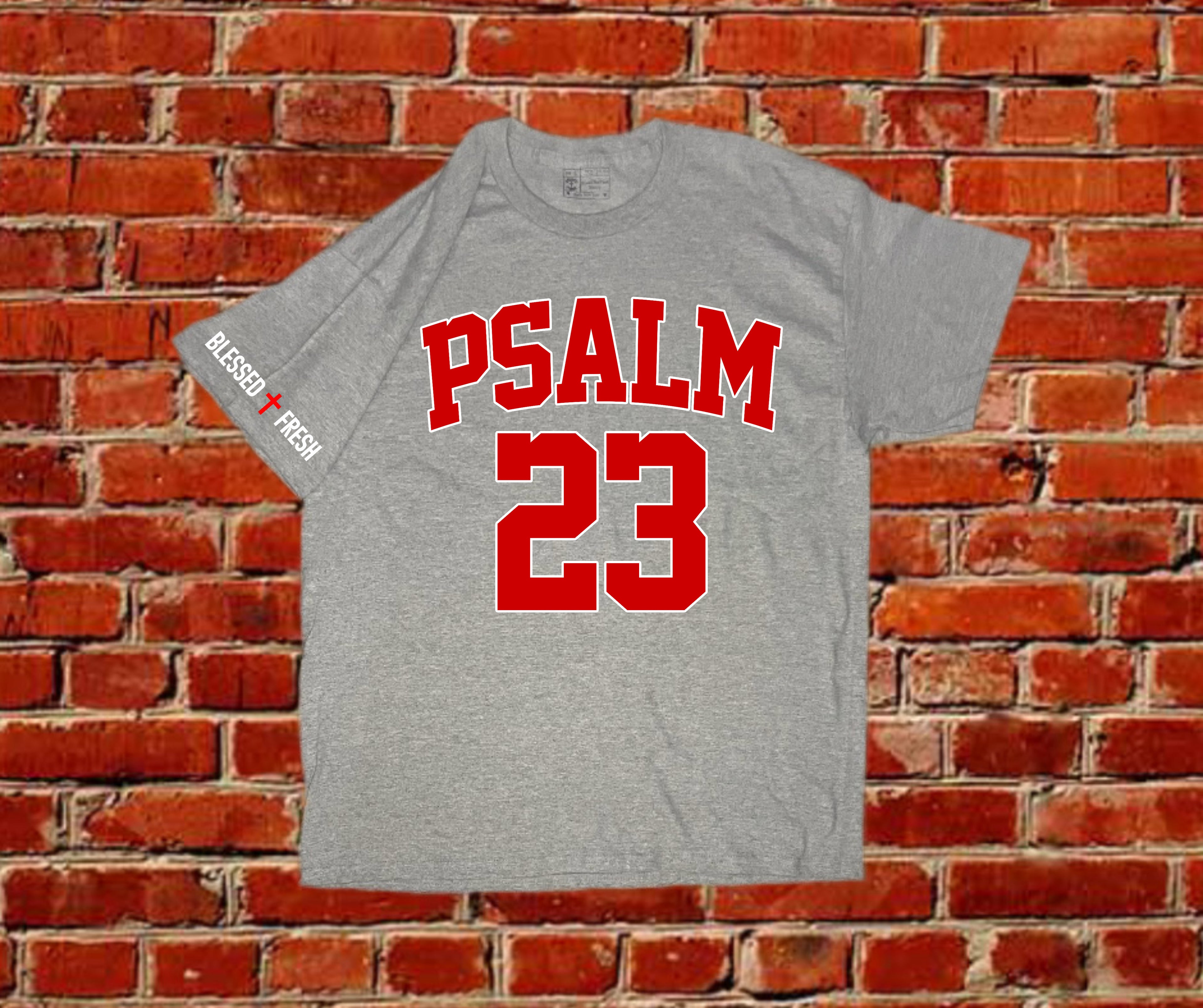 Psalm 23 Tee – Fear No Evil