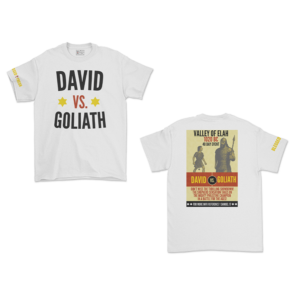 DAVID VS GOLIATH