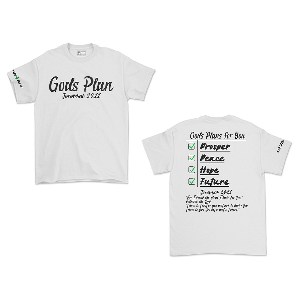GODS PLAN